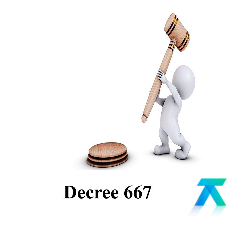 Decree 667