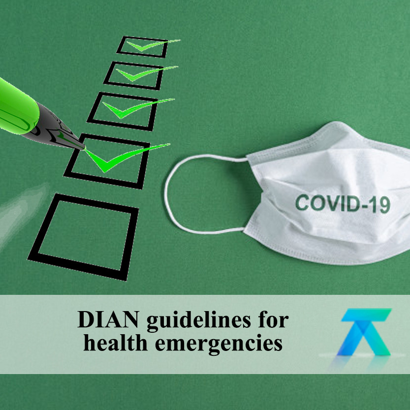 DIAN guidelines for service provision